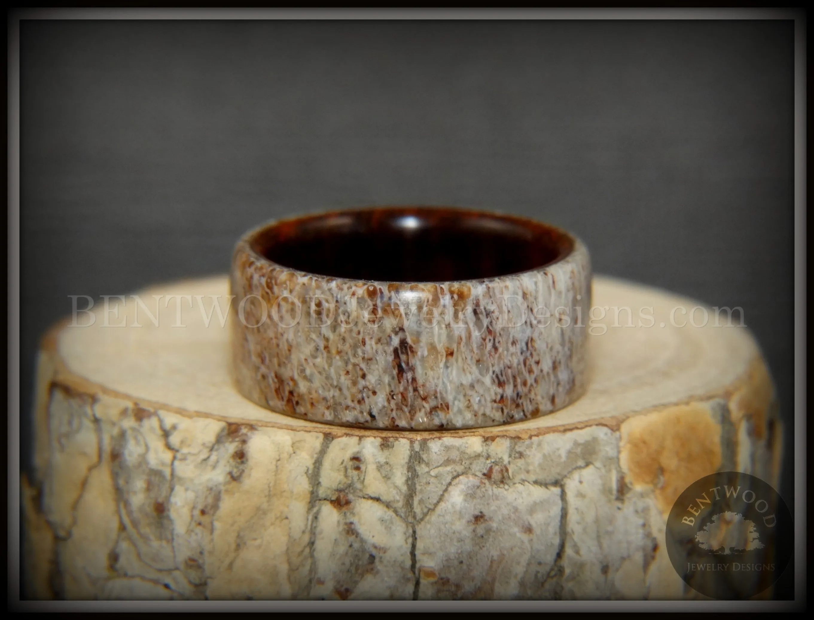 Bentwood Ring - The Hunter Antler on Snakewood