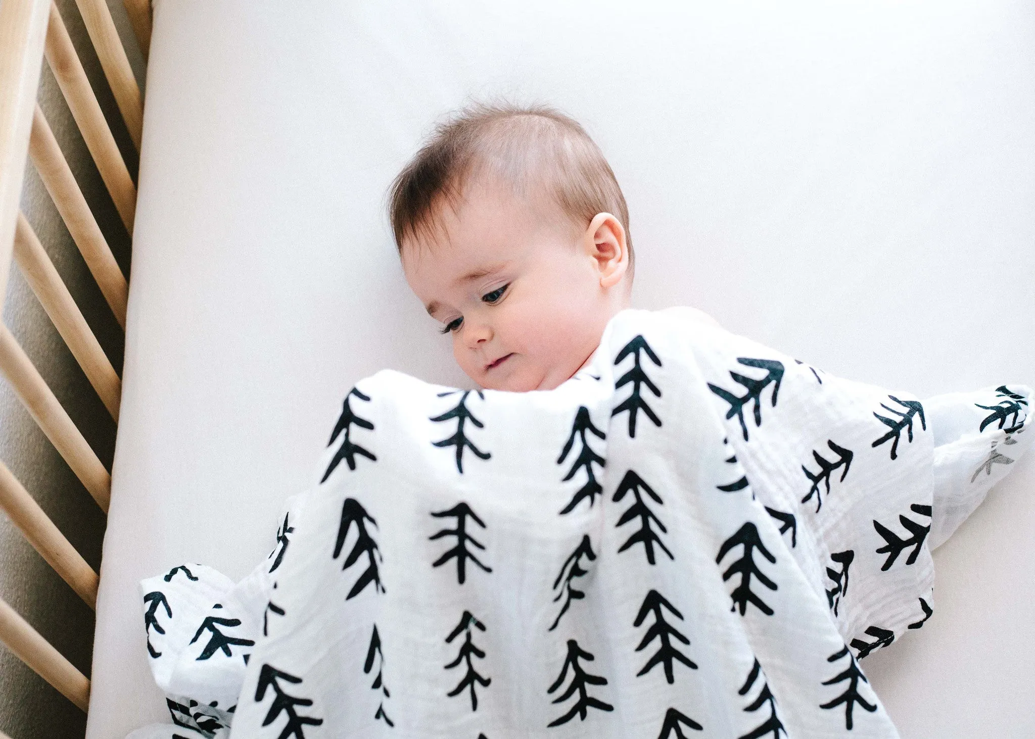 Organic Swaddle -   Tree Hugger