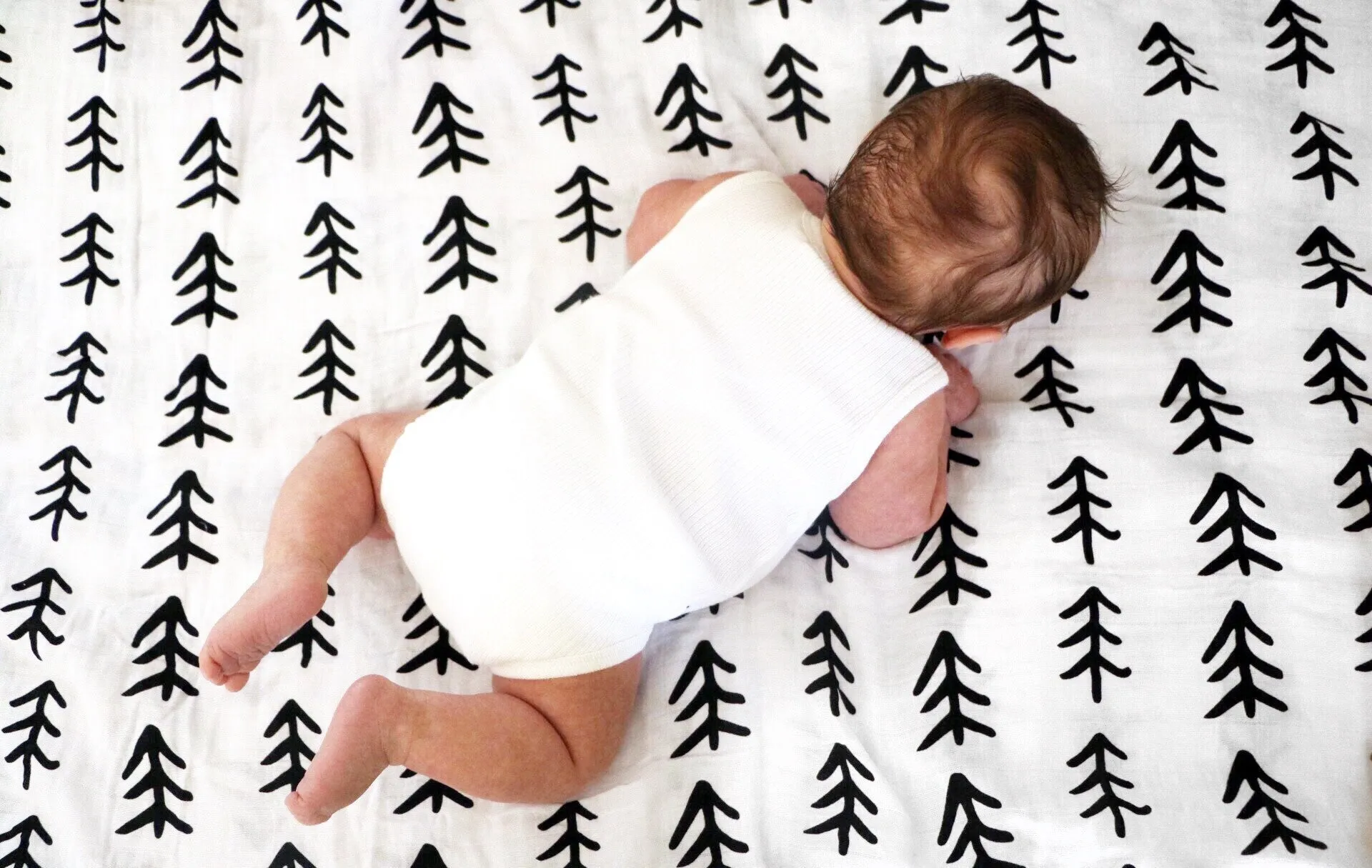 Organic Swaddle -   Tree Hugger